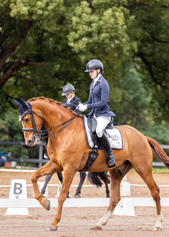 Victus Equestrian Breeches